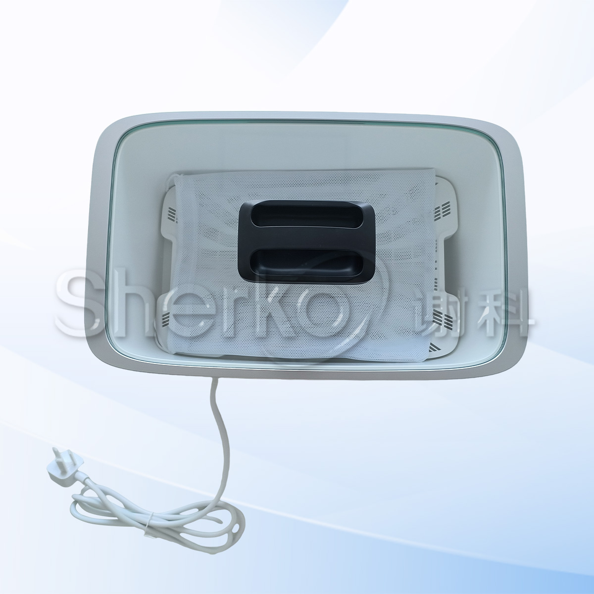 Fruit and vegetable purifier