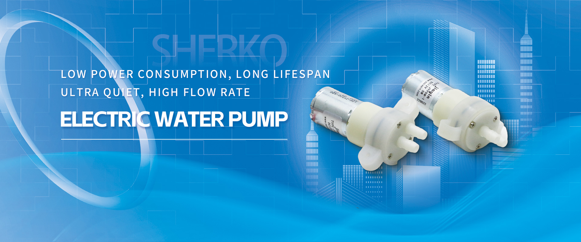 Electric water pump
